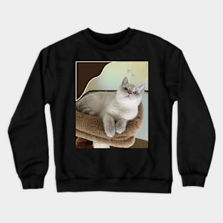 The angry cute cats Crewneck Sweatshirt